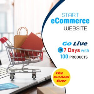 ecommerce website design, ecommerce web development plan